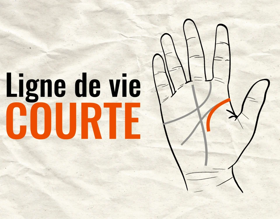 ligne de vie courte