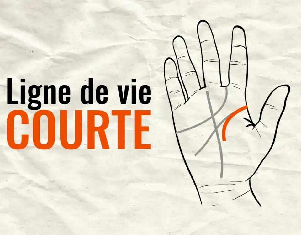 ligne de vie courte