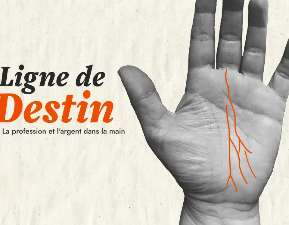 Ligne de destin